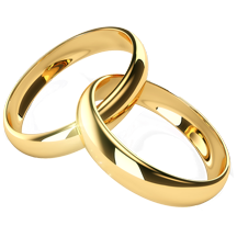 anillos